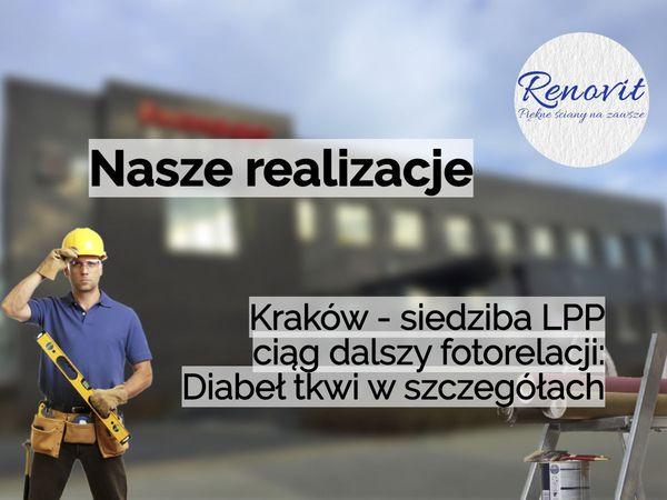 Renovit Diabeł tkwi w&nbsp;szczegółach.